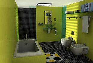 The interior of the bathroom and toilet: the most popular options