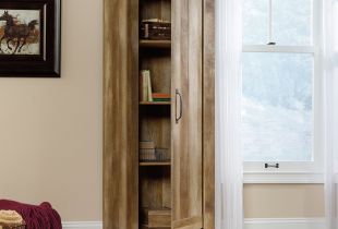 Case-wardrobe: beauty, ergonomics and modern chic (24 photos)