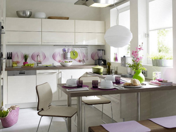 The layout of the dining room kitchen