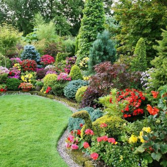 Луксозни храсти и цветя на парцела