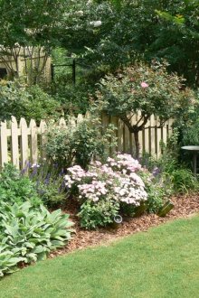 Храст на парцела