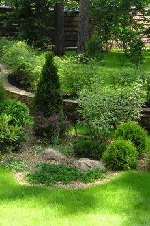 Красива композиция за осветление и храст