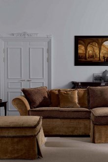 Bright living room with brown neoclassical furniture
