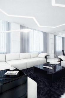 Черно-бяла всекидневна с високи технологии