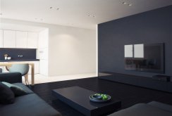 Black and white apartment interier