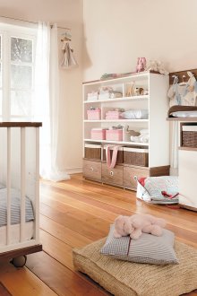 크림 브라운 베이비