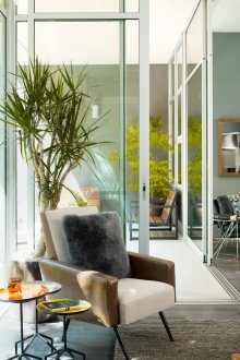 Драцена в интериора на хола