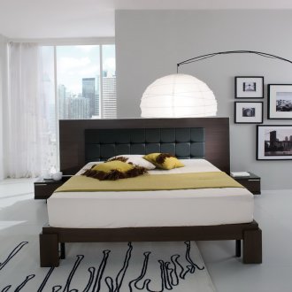 Кафяво легло в стил Арт Нуво