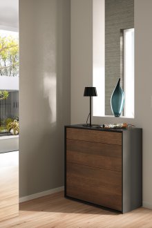 Черни и кафяви мебели за антрета в хай-тек