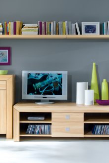 Букова стена и рафт в хола