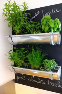 Chalk board and plants on the wall in the kitchen