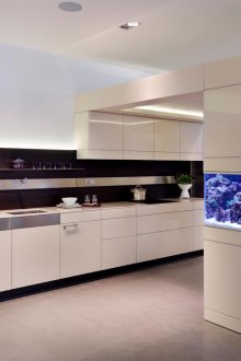 Aquarium in the kitchen