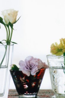 Живи рози и други цветя в интериора на стаята