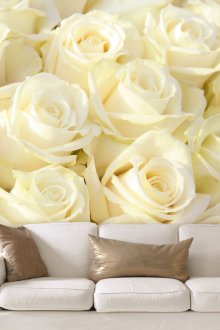 Крем рози в хола