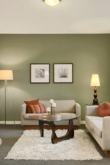 Бяла и маслинова всекидневна