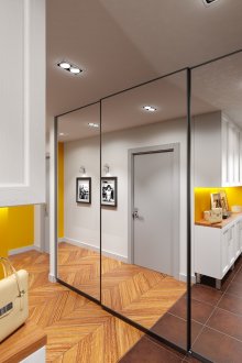 Голям огледален гардероб в коридора