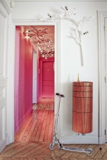 Розов коридор с необичайни полилеи