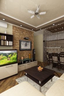 Kitchen-living room with aquarium