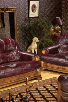 거실에 있는 야외 입상 개