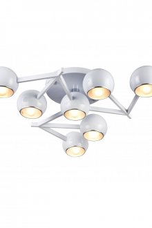 Бял полилей