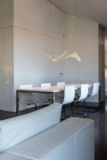 Необичаен бял полилей