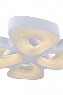 Необичаен бял полилей