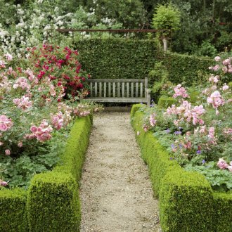 Градински броеници с оживен бордюр