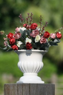 Рози в саксия на парцела