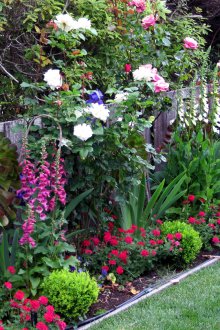 Декорация на оградата с рози и други цветя