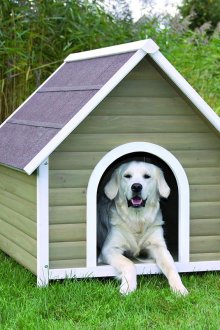 Куче за кучета с фронтон