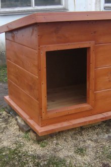 Дъска за кучето от дъските