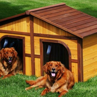 Двойна кучешка къща