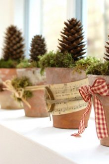 Декорация на прозорци с саксии с шишарки