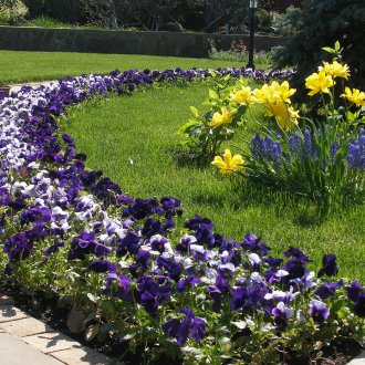 Красиви цветни лехи на сайта