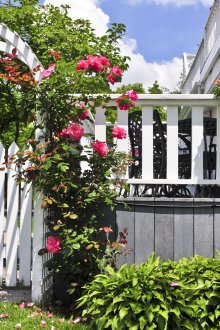 Дървена бяла ограда и порта с арка