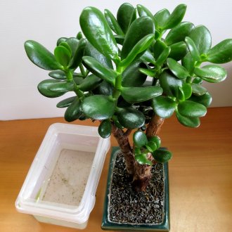 Екран за баня