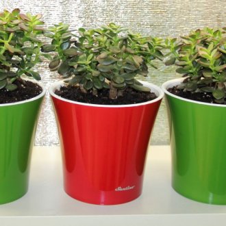 Дървена хранилка за птици