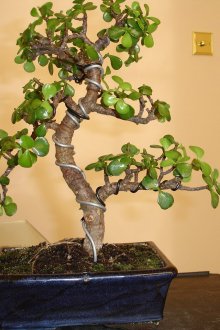 Пластмасова плочка