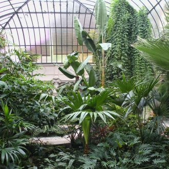 Голяма оранжерия с растения