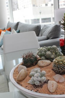 Голям флорариум с кактуси в хола