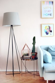 Кактус в интериора на хола