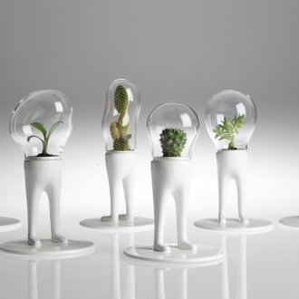 Кактуси в необичайни саксии