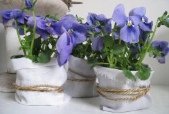 Cloth pot decor with rope