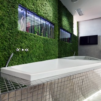 Зелена стена в банята