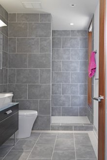 Душ без душ в сива вана