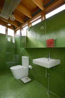 Зелено-кафява баня с бели тела