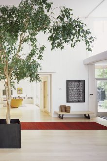 Фикус във фоайето на селска къща