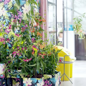 Gloriosa в интериора на селска къща