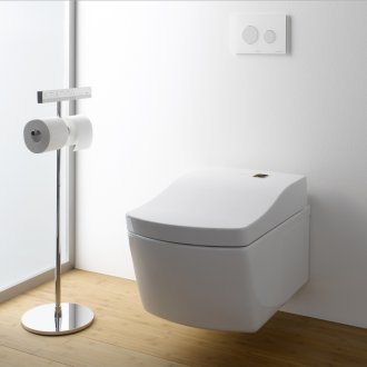 Wall hung toilet