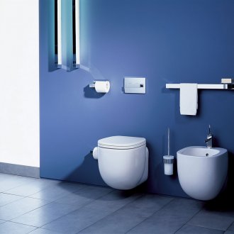 Wall hung toilet